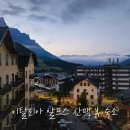 오엔호텔(ON HOTEL) | 이탈리아 북부 숙소 추천 알프스산 전망 호텔 G. Hotel Des Alpes 후기