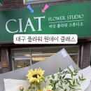 씨앗플라워스튜디오 네이버블로그