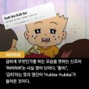 본질은 숏컷이 아니고 부적절한 용어 사용인데 언론이 선동당하고 있다! 이미지