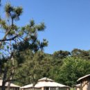 피그스토리 이미지