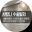 제주대학교병원 (죽성마을 입구방면) | 마포 매복 사랑니 당일발치 치과 서울대병원 구강외과출신