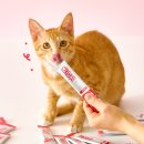 미래종합유통 | 굿포펫 국내산 고양이 종합 영양제 &#39;츄라잇&#39; 1박스 솔직 후기 입맛 까다로운 고양이도 OK!