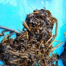 구암동476 이미지