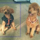 구월3동-12 이미지