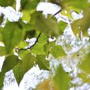 정겨운 마을 이미지