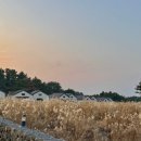 더포레스트하소로 이미지