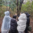 겨울나기 생태수업 이미지