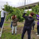 도림1동 이미지