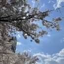 우금자락 이미지