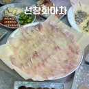 태안 횟집 [선창회마차] 신진도 안흥항 맛집