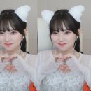 포니테일