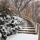 우장산근린공원 이미지