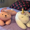 하구암리21 이미지