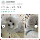 하나로동물병원 이미지