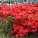 대구교육정보원 이미지