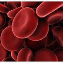 명동식품 이미지