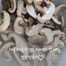 해풍추이농장 네이버블로그