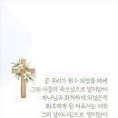 디자인쏠트 이미지