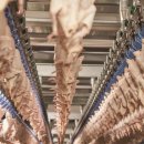 가마치통닭.삼계탕 이미지