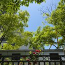 하나법무사사무소 - 5330 | 주식 투자 손실 개인회생 개시결정까지, 부산 회생 전문 법무사사무소 동행 후기