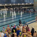 11545-02-38-57 | [수영대회] 2026 PIS 전국마스터즈 1500M 수영대회 개인 참가 후기 (PARTNERS IN SPORTS)