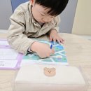 더 필통 | 초등입학 준비템 아이가 매일 들고 다니는 귀여운 필통 코지베어 후기