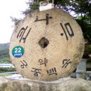 큰나무식당 이미지