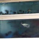 해녀횟집 이미지