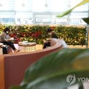 완주군립콩쥐팥쥐도서관 이미지