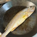 참맛푸드 | 마켓컬리 [법성포 참맛] 찜부세 보리굴비 내돈내산 솔직후기