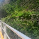 산수정슈퍼 이미지