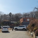 애견시대 이미지