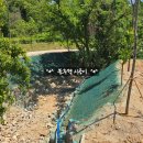 톡톡씨드 | 🌻양평 법면녹화 전문🌳: 문호리 와 지평 면 비탈면 유실방지 코아네트 및 씨드스프레이 시공 후기 사례🪻