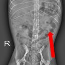 잠실종합동물병원 이미지