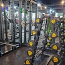 헬스피아 | 헤라헬스피아 목포헬스장 근력운동 잘 되네요