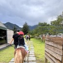 (주)위더스파크밸리레스토랑 | 경기 남양주 서울 근교 아이랑 가볼만한 곳 비스타밸리 승마 체험 내돈내산 솔직 후기