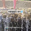 사담관광농원캠핑 이미지