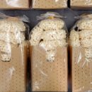 백석올미마을 이미지