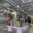 성수약국 이미지