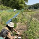 기린농장 이미지