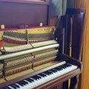 내덕중학교 이미지