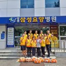삼성요양병원 Daum카페