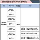 인셀덤 동안