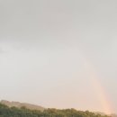 할리스(동해묵호점) 이미지