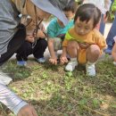 지니어스숲어린이집 이미지