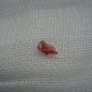 현대통통의원 이미지