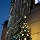 배불뚝곱창 | [서울 중구] 인근 회사원들이 손꼽는 을지로맛집 : 담비곱창