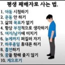 보은비상1호(보은상48호) | 영원한 봄을 찾아가는거야