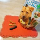 굿플러스덴탈 이미지