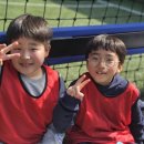 예바른 태권도장 이미지